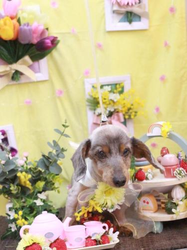 20230323マイキーくん